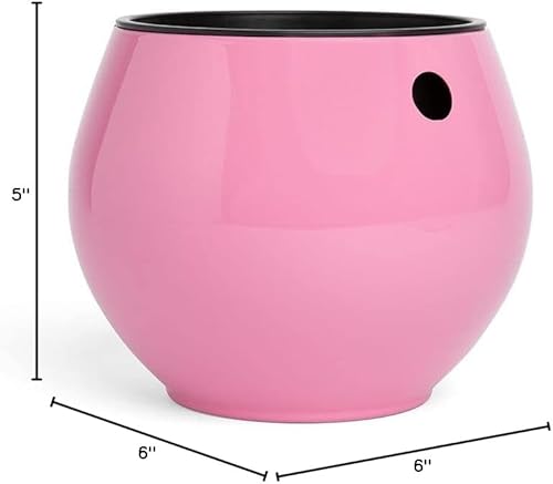 Miniatura 6 de rePotme Maceta de riego automático de 6 pulgadas para plantas de interior, violetas africanas, suculentas, colección Aqua Core (rosa rubor)
