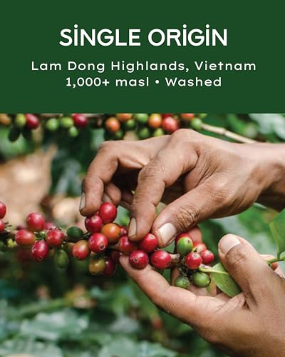 DAKAO COFFEE - Specialty Arabica, Vietnam Single Origin, Tostado Medio, En Grano, 12oz miniatura 4