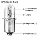 CVILL Xenon Bulb 19 Volt Bulb Flashlight/Work Light for Craftsman（5 pack