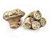 Fresh Celery Root Celeriac - Knob/Turnip-Rooted Celery (2 Pounds) | Premium Root Vegetable for Gourmet Cooking...