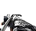 FGD Motorcycle Flaming Fanged Skull Gas Tank Decal 13x6" Sticker Set Universal