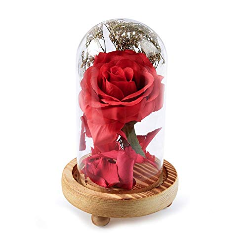 XingYue Direct Mujeres! Regalos de San Valentín La Bella y la Bestia Rosa roja con pétalos caídos en una cúpula de Vidrio en una Base de Madera