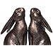 Amazon.com: Creative Co-Op Decorative Resin Rabbit Bookends, Bronze ...