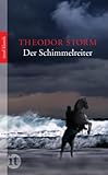theodor storm die stadt  Der Schimmelreiter: Novelle (insel taschenbuch)