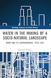  Water in the Making of a Socio-Natural Landscape: Rome and Its Surroundings, 1870-1922 (Routledge Advances in Urban History)