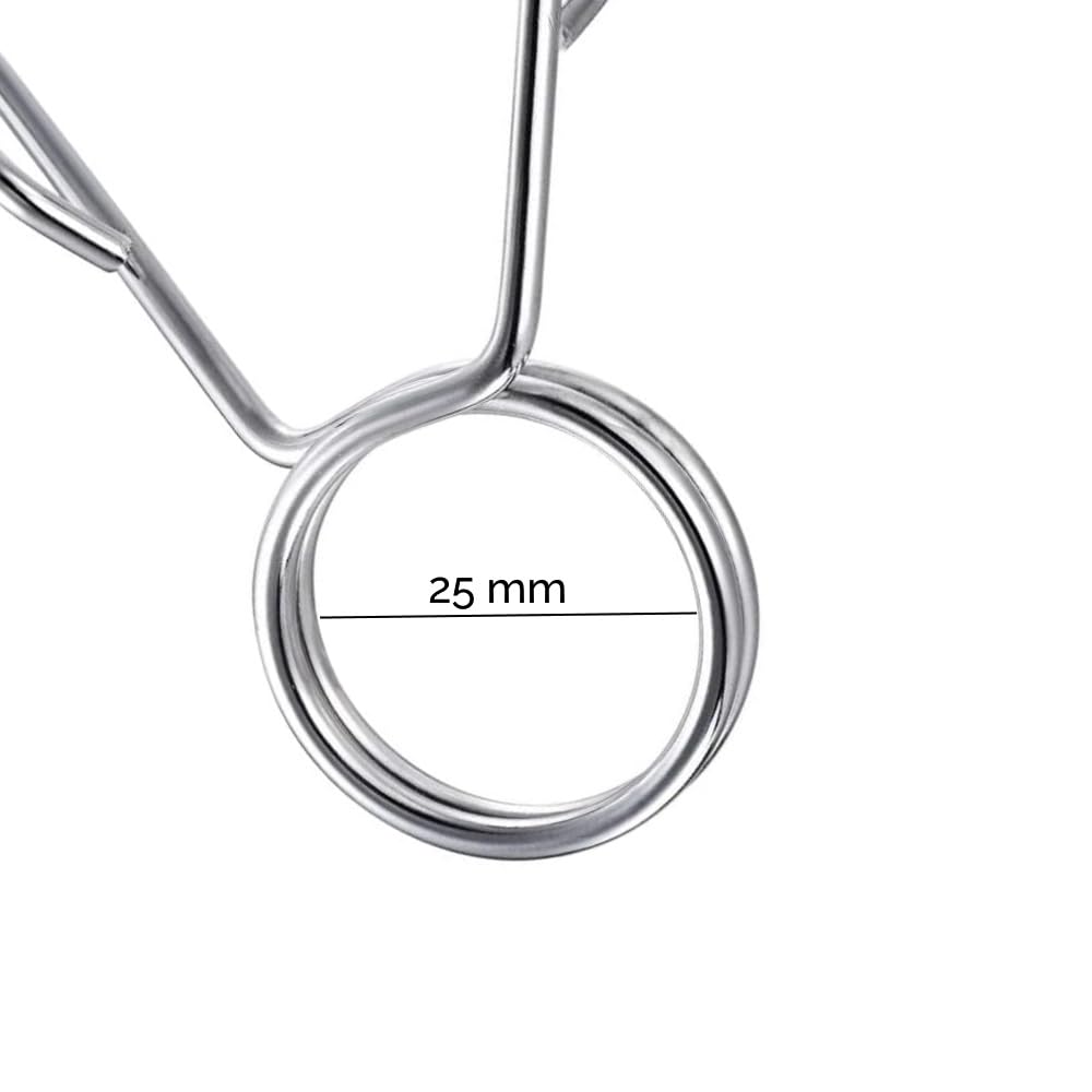 FFitness 4 Pezzi Ferma Dischi 25mm Chiusure Manubrio Bilanciere Lock Morsetto Bloccaggio Pinze per Manubri Serrature a Molla