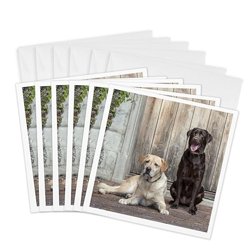 Lot de 6 cartes de vœux labrador retriever 3dRose | Idée cadeau pour cynophiles