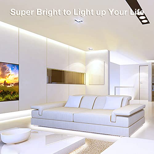 Image of DAYBETTER COB LED Strip, 16.4 ft White LED Strip Lights, Dimmable LED Light Strip 4000K Bright Neutral White, 24V, 1600LEDs, 2835 Flexible LED Tape Light for TV, Bedroom, Kitchen Cabinet, Closet