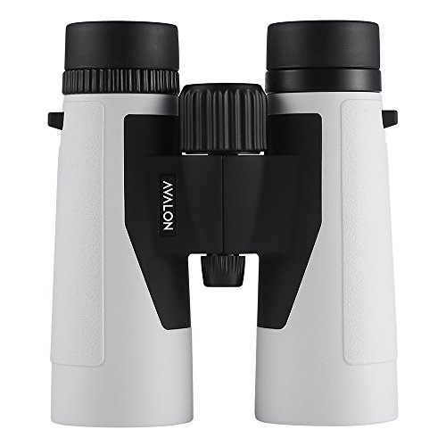 Avalon 10x42 PRO HD Binoculars (PLATINUM)