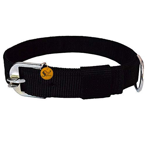 See full amazon price history chart for Sage Square Adjustable Bite Proof Nylon Double Strip Collar for Small Dog/Cat/Puppy/Kitten (Random Color) (1 Inches) Sage Square Adjustable Bite Proof Nylon Double Strip Collar for Small Dog/Cat/Puppy/Kitten (Random Color) (1 Inches) (B07RVCTSMZ) Amazon Price History, Amazon Price Tracker