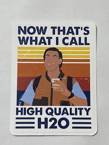 ANHGLORYPAPER Pack 3 Now That's What I Call H20 Bobby Boucher high h2o Waterboy Meme Art Sticker 3''
