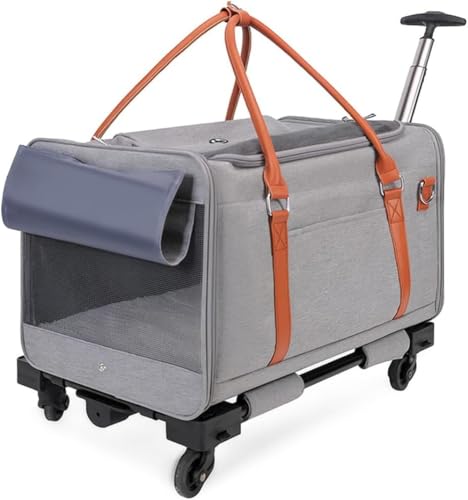 Lamantt|[^uybgLAAybgxr[J[ eʂ̎ԗ֕tobNpbNAs̕Ki (O[,+o[)