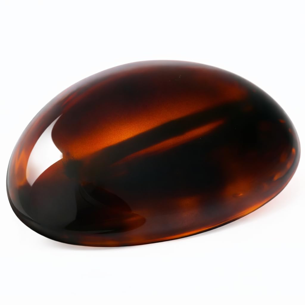 Parcelona French Dome Barrette Tortoise Shell Small 2.5 Inch Cellulose Acetate Hair Clip with Rubberized Clasp for Women for Secure Hold Hair Accessory