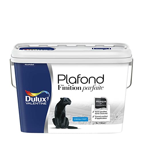 Dulux Valentine Peinture Plafond Finition Parfaite - Masque les Imperfections - Mat Blanc 5 L