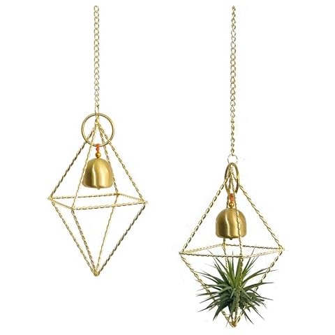 Gold Air Plants Live Holders,Small Airplants Plant Holders with Wind Chimes Hanging 2 Pcs Twisted Iron Wire Airferns Display Planter Indoor/Outdoor Cover