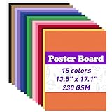 MAXECHO 15 Stück 34,3 x 43,4 cm Postertafeln, sortiert, farbige Posterwand, 230 g/m², dick, blanko, Smart Vision Boards für Schule, Zeichnen, Kunst, Handwerk, DIY, Party-Dekorationen, Wissenschaft