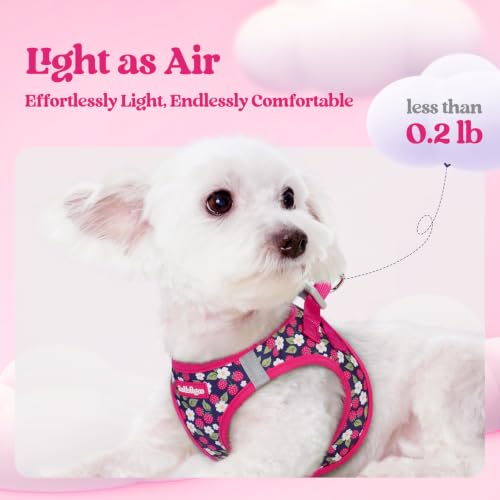 Image of rabbitgoo Dog Harness Medium Sized and Leash Set, Step-in Puppy Pet Vest