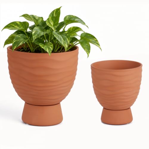 vensovo Terracotta Self Watering Plant Pots, 6 and 8 Inch with Saucers