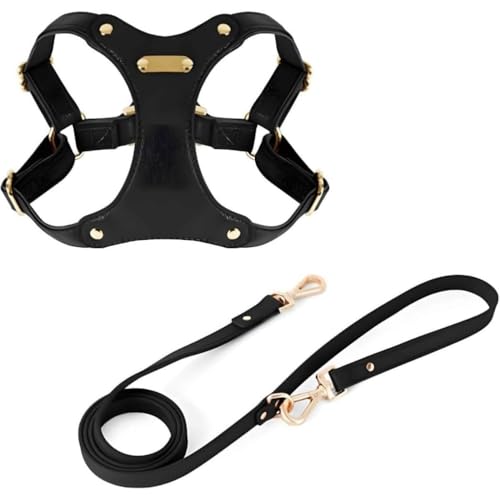 YOULINES\tgU[ Ȃpn[lXƃ[hZbg - ^E^E^Ή ߉\őϋv ȒPEH[LOg[jOɍœK ybgn[lX p[h p KňSȃfUC Ug[jOɕ֗ ̃XgXy