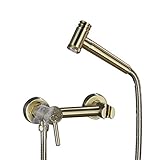 uhyOHF Bidet Spray Set, Brass Brushed Gold Bidet hot and Cold Water Set Toilet Spray Gun Ass Flusher Nozzle Set, Hand Blender Valve Jet Pres Set Shower Head with Pressure,B (Gold，Golden-B