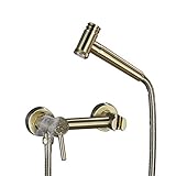 Best Ab Whole Body Cleanses - Bidet Spray Set, Brass Brushed Gold Bidet hot Review 