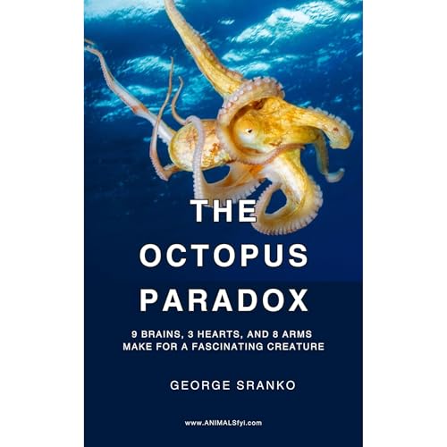 The Octopus Paradox (By George Robert Sranko) episode artwork