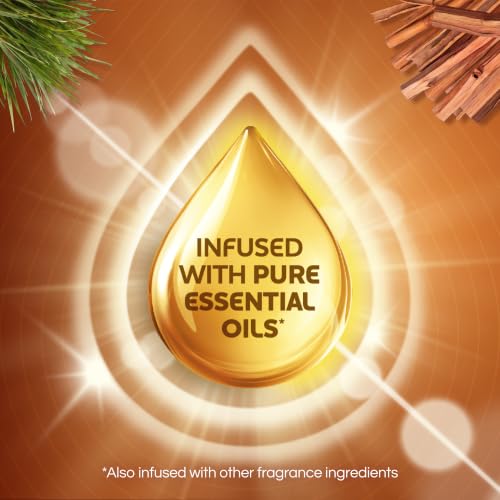 Air Wick Plug in Refills, Sweetgrass & Sandalwood, Essential Oil, 10 Count - image 4