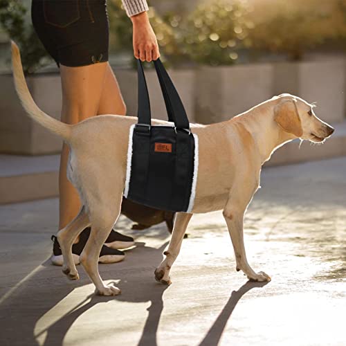 4-120 Lbs Dog Lift Harness Adjustable Dog Sling For Large Dogs Lift Support And Rehab Harness For Weak Rear Legs, Soft Hind Leg Support Helps Senior, Injured, Disabled And After Acl Surgery (Large) #TOP6