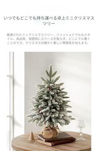 【Jexiro】クリスマスツリー ミニ卓上型 テーブルツリー 雪化粧デコレーション PE + 金属製 耐久性 針葉落ちない 商店用 部屋用 (グリーン,25 cm) [5]