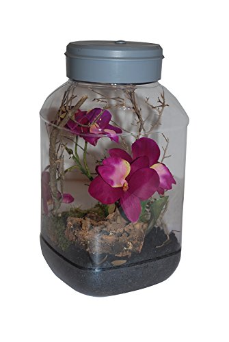 Lucky Reptile IT-5 InsectTarrium 5 l, huisdier klein rarium voor de eerste instap in het terraristiek - Afbeelding 7