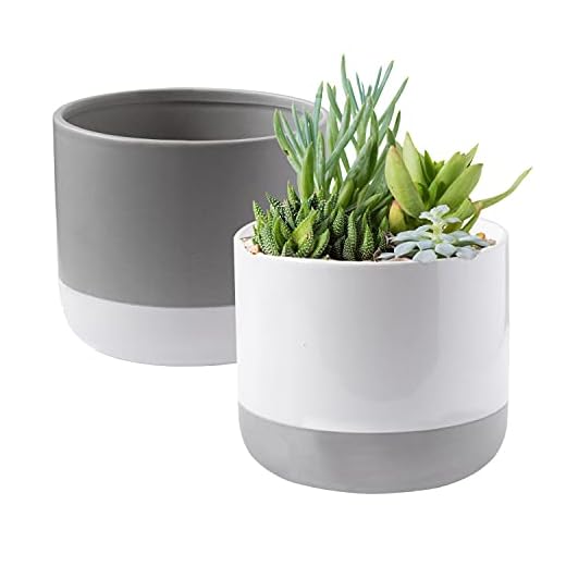 Royal Imports Vaso de cerâmica, vaso de flores decorativo para jardim interno e externo, varanda, decoração de casa com orifício de drenagem e plugue, ótimo para suculentas, cacto, bambu - branco cinza, conjunto de 2