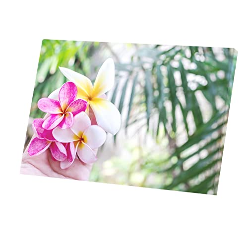 Toile imprimée fleurs de plumeria affiche d'art mural tropical