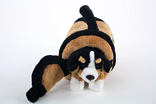 Teddys Rothenburg Kuscheltier Berner Sennenhund in Hundehütte 15 cm braun/schwarz/weiß Plüschhund Stoffhund