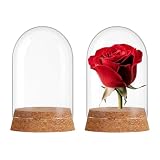 SWJLR 2 PCS Mini Glass Dome Bell Jar, Small Decorative Jar with Cork Base for Miniature Figurines, Fake Plants, Collectibles, Specimens, DIY Landscape (1.97x2.76 Inch)