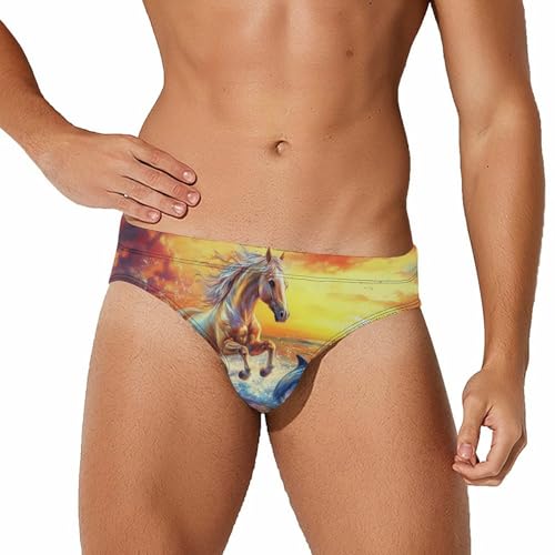 Horse Dolphin Sunset Mens Swim Briefs Sexy Bikini Swimwear Bathing Suits Trunks