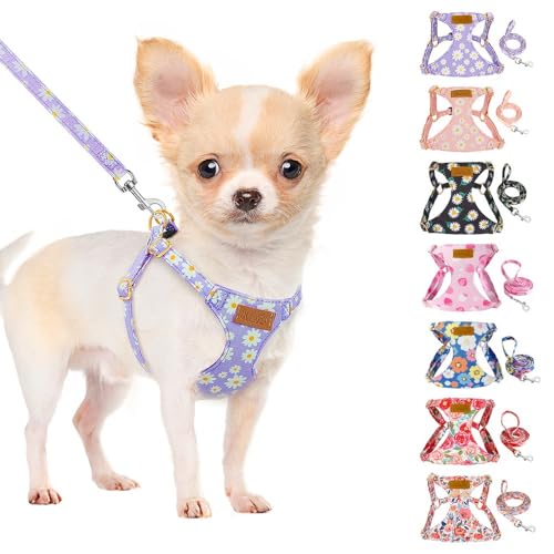 SlowTon Hundegeschirr mit Leine, No-Pull leichtes weiches Wildleder-Welpengeschirr mit Blumenmuster und Schnappschnalle, verstellbares Geschirr Hund für kleine und mittelgroße Hunde