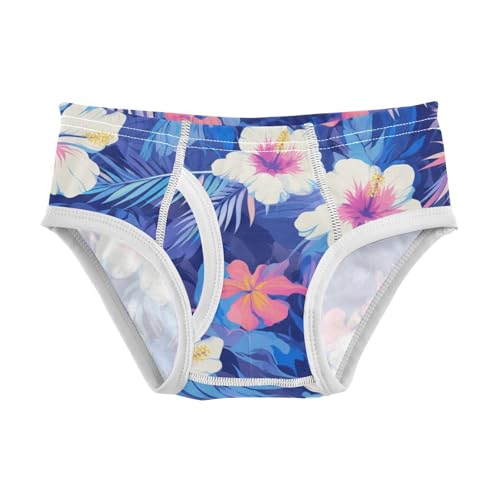 KLL Banner Little Boys Cotton Briefs Underwear Cute Children Undies