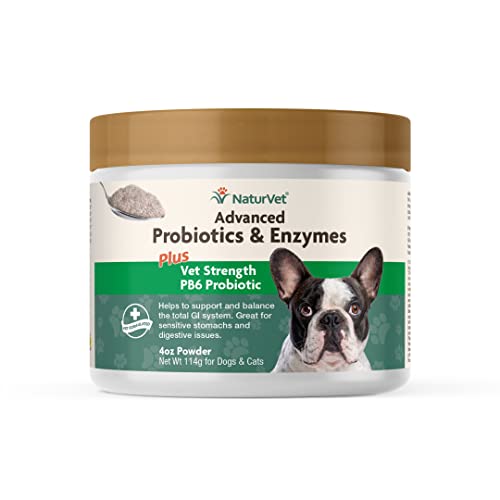 NaturVet – Advanced Probiotics & Enzymes - Plus Vet Strength PB6 Probiotic | Supports and Balances Pets with Sensitive Stomachs & Digestive Issues | for Dogs & Cats (4 oz)