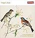 Produktbild Vögel Postkartenkalender 2026 - Postkartenkalender mit 53 historischen Zeichnungen: Tischkalender mit Retro-Illustrationen. Schönes Geschenk für Kunst- und Naturliebhaber. 16 x 17,5 cm