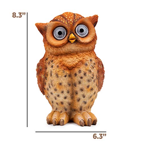 Owl Pot Succulent Planter | Owl Flower Pot Solar Led | Outdoor Indoor Decor For Yard, Patio, Windows, Kitchen Or Deck | Garden Gift | Auto On/Off (Brown) #TOP3