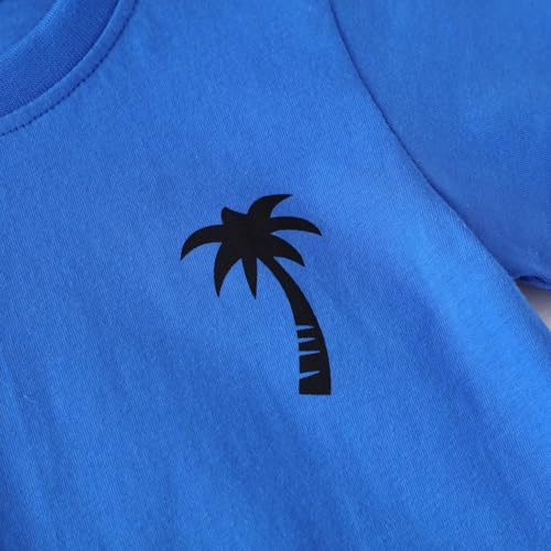 Image of Toddler Boy Clothes Kids Summer Cotton Outfits Shirt Short Sets Size 2-7