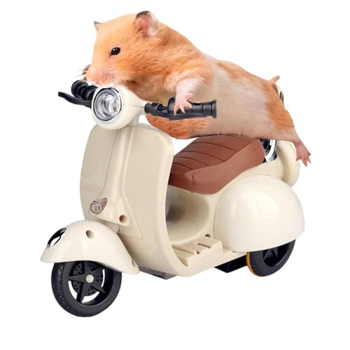 Motocicletas Genéricas De Figuras De Juguetes, Juguete De La Motocicleta De Cascada | Con Una De Cascada Para Sonidos Y Ligeros - Electricidad De 360 Grados Motation De Moto Play Race Car, Toy Figing