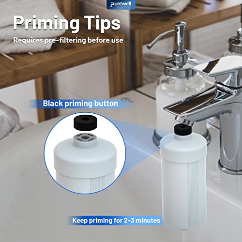 Image of Purewell FL-2 White 5-Stage Fluoride Purification Elements, Replacement for Berlkey PF-2 Fluoride Filters, Berlkey Gravity Filtration System and Purewell System (2 Pack, K Series)
