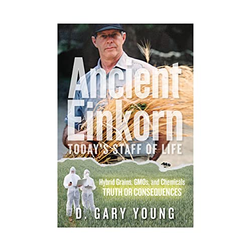 Ancient Einkorn Today's Staff of Life Cover