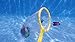 Swimline Fish Catch Game Dive Toys 6-Pack with Fishing Net Weighted Catch and Retrieval Game for Swimming Pool & Bath Tub for Kids Multi Color Rings Underwater Dive Practice Education Learn