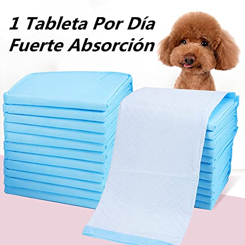 La mejor comparación de Tapete entrenador para perro soriana Top diez. 29 Imagen adicional