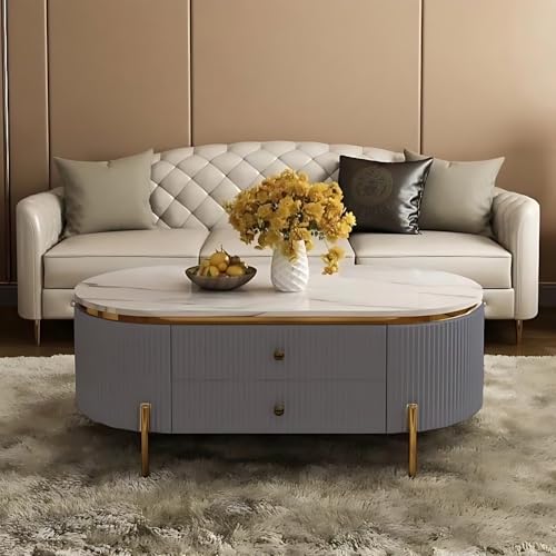 Image of Tesla Centre Table, White Marble Top with Gold Trim, Oval Modern Coffee Table with 2 Drawer Storage, Waterproof Plywood Base, PVD Metal Legs, for Living Room (Grey)