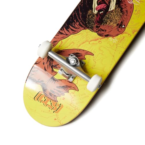 Image of [CCS] Skateboard Complete | Maple Wood | Professional Grade | Fully Assembled with Skate Tool & Stickers | Adults, Kids, Teens, Youth | Boys & Girls