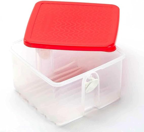 SIGNORA WARE KlimaOase Klima OaseBehälter Lebensmittelaufbewahrung Kühlschrankbox Obst Gemüse Prima Klima transparent rot 1,0 Liter