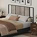 MAHANCRIS Queen Size Headboard Only, Metal Headboard with Adapters, Minimalist Industrial Style for Queen Size Beds, Greige